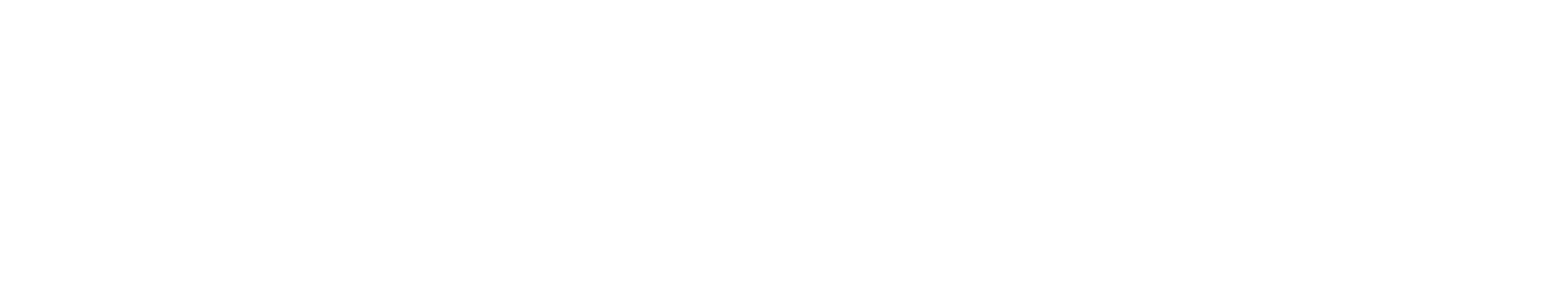 NOI CONCEPT